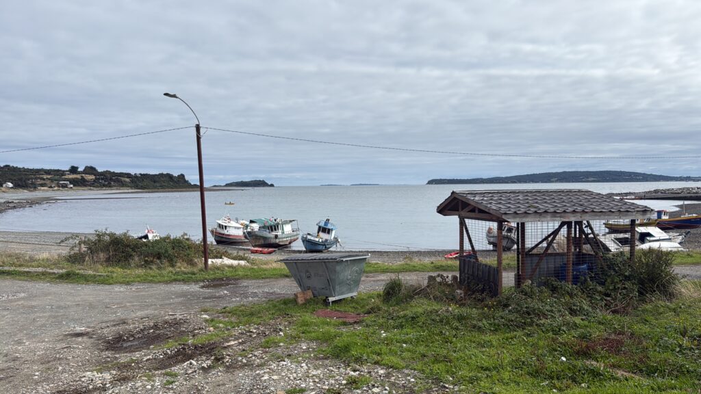 F57747D1-E1B8-4E8A-B98B-84242CCAEF6B